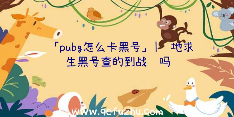 「pubg怎么卡黑号」|绝地求生黑号查的到战绩吗